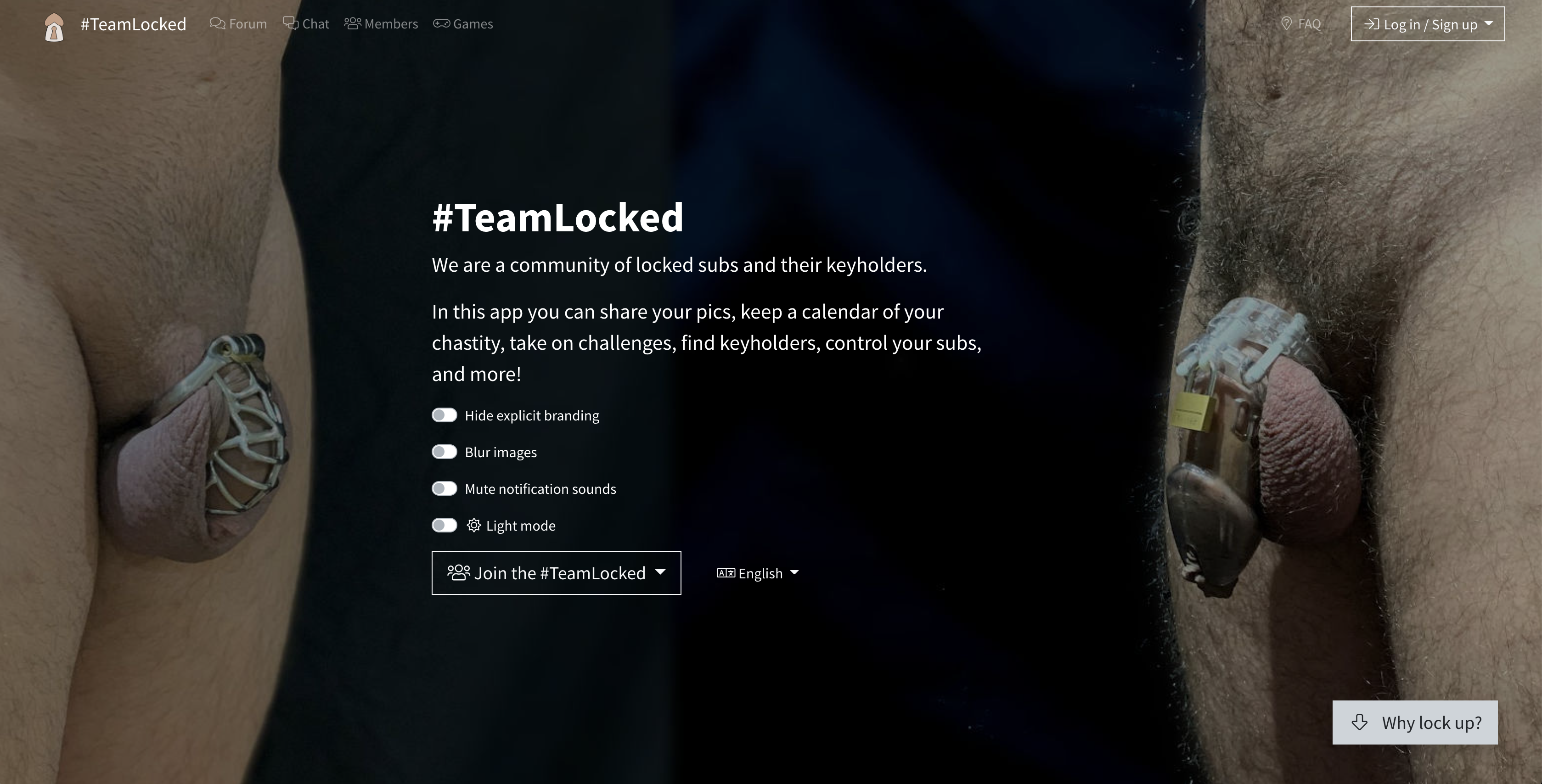 Screenshot of the homepage: two locked dicks in the background, text: #TeamLocked: Let's build a community of locked subs